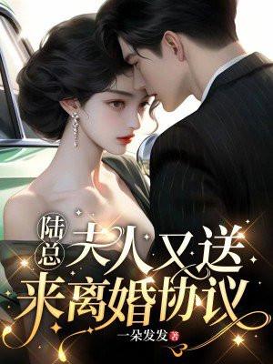 陆总，夫人又送来离婚协议